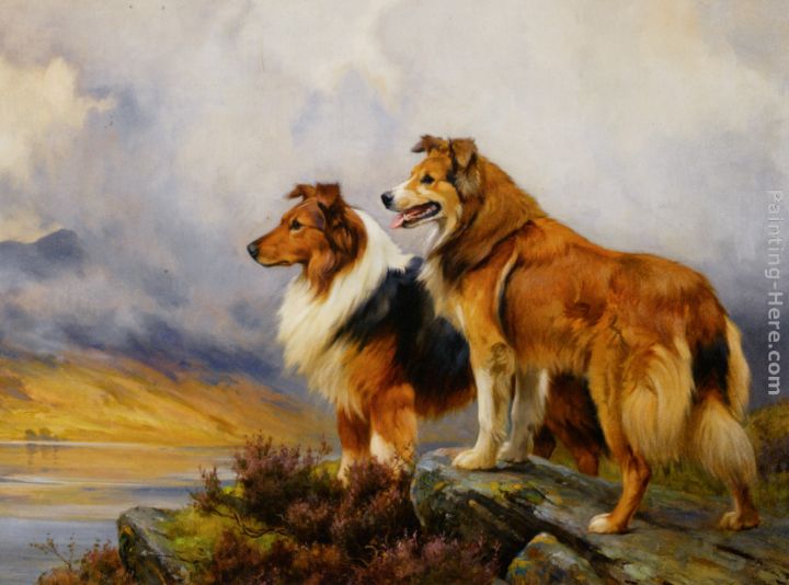 Two Collies Above a Lake painting - Wright Barker Two Collies Above a Lake art painting